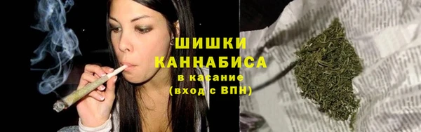 хмурый Алзамай