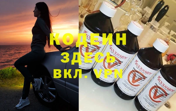 хмурый Алзамай