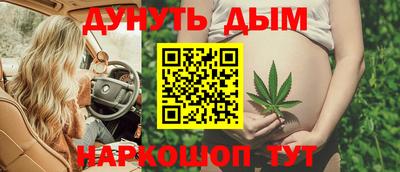 стафф Моздок