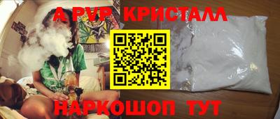 стафф Моздок